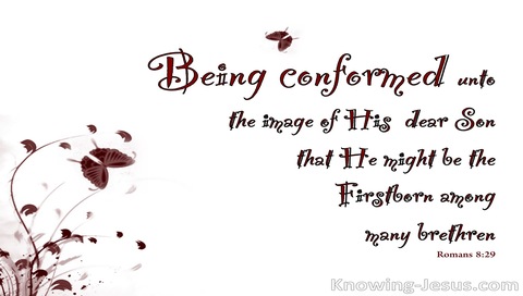 Romans 8:29 Conformed Into The Image Of Christ (maroon)